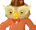 Wizard Owl